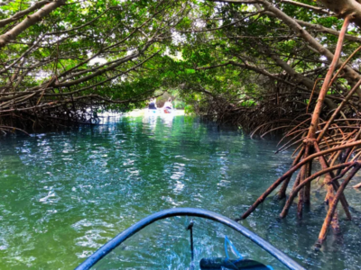 Bonita Springs Florida Kayak Tours